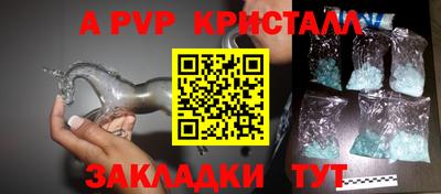 стаф Кимры
