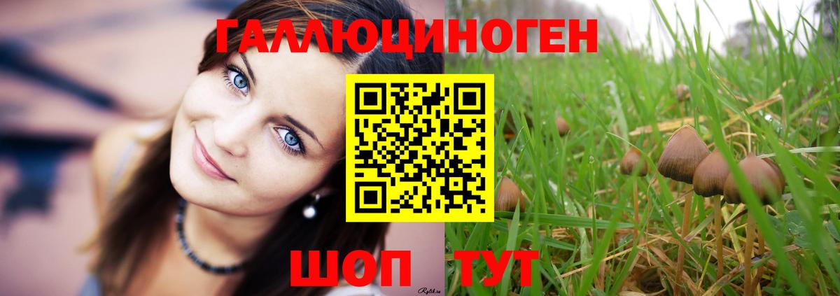 Галлюциногенные грибы мицелий  Вход с VPN  наркота  Когалым 
